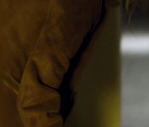 Naked Chelsey Reist & Sharon Hinnendael - Embrace of the Vampire (2013)