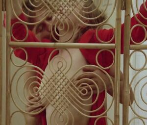 Naked Laura Premica nude - Mad Foxes (1981)