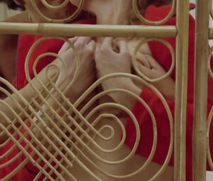 Naked Laura Premica nude - Mad Foxes (1981)