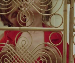 Naked Laura Premica nude - Mad Foxes (1981)