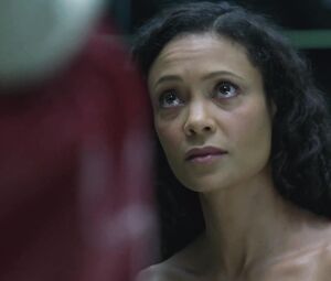 Naked Thandie Newton nude - Westworld S01E08 (2016)