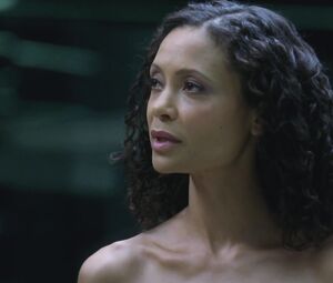 Naked Thandie Newton nude - Westworld S01E08 (2016)