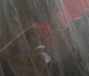 Naked Mimsy Farmer - More (1969)