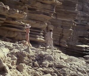 Naked Mimsy Farmer - More (1969)