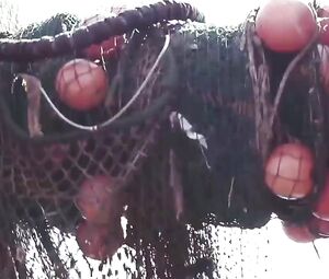 Naked Camille Rowe nude โ Deadliest Catch (2010)