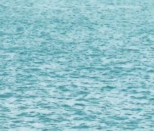 Naked Fiona Wang & Jie Shui & Fiaona Cheung - Utopians (2015)