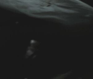 Naked Alyssa Sutherland - Vikings S01-S03 (2013-2015)