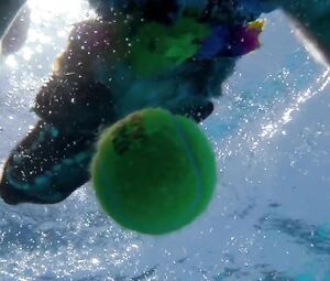 Nude Hot video Cate Blanchett, Teresa Palmer, Natalie Portman - Knight Of Cups (2015)