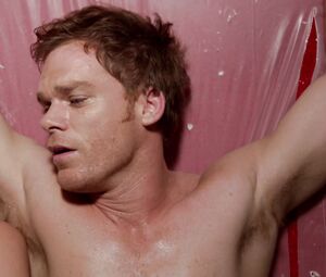 Nudity in TV show Yvonne Strahovski - Dexter, Season 07 (2013)