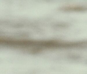 Hollywood hot scene Nicole Kidman - The Paperboy (2012)