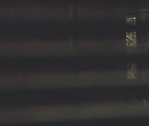 Nude sex scene America Olivo, Megan Duff - Maniac (2013)