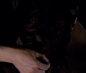 Nude sex scene Paula Malcomson, Molly Parker - Deadwood S01 (2004)