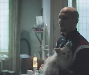 Sex scene Veerle Baetens - The Ardennes (2015)