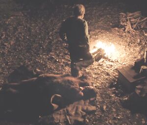 Topless Hilary Swank, Miranda Otto, Sonja Richte -  The Homesman (2014)