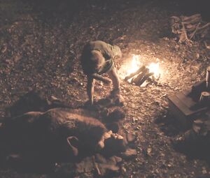 Topless Hilary Swank, Miranda Otto, Sonja Richte -  The Homesman (2014)