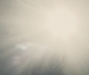 Full Frontal and sex video | Celebrity Bel Powley nude from the movie "The Diary Of A Teenage Girl" (2015)