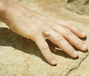 Hot lesbian scene | Dreya Weber, Traci Dinwiddie naked - Ravenβs Touch (2015)