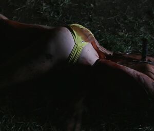 Hot bikini video | Wtf (2017)_18