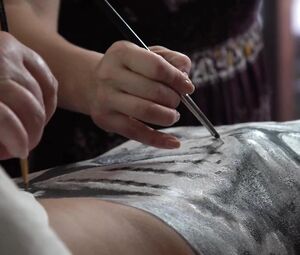 Topless models Lindsey Vonn, Caroline Wozniacki, Ronda Rousey from BodyArt Video