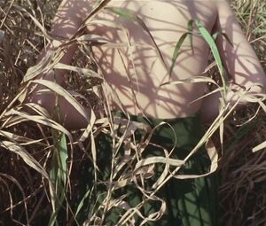Outdoor Sex scene with Ingrid Steeger from classic erotic movie "Die Sexabenteuer Der Drei Musketiere" (1971)
