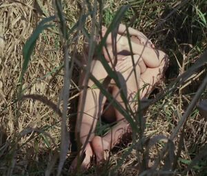 Outdoor Sex scene with Ingrid Steeger from classic erotic movie "Die Sexabenteuer Der Drei Musketiere" (1971)