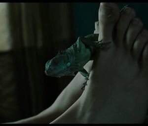 Nude and sex scenes of Ines Efron - XXY (2007)