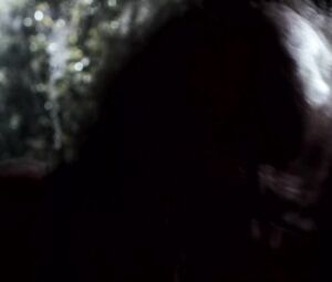 Celebs nude scene | Alexis Kendra, Charlayne DeVillier, Sarah Agor- Hatchet II (2010)