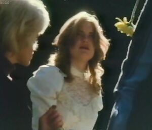 Sex video Angela Fireworks (1975)