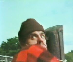 Sex video Angela Fireworks (1975)