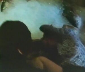 Sex video Angela Fireworks (1975)