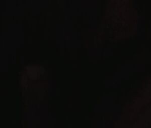 Sex video Charlize Theron - The Last Face (2017)