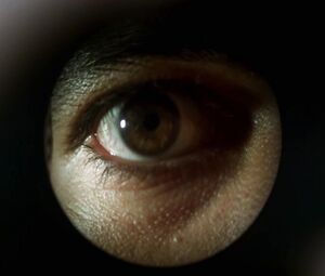 Sex video Eva Cobo  - Matador (1986)