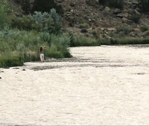 Sex video January Jones nude - Sweetwater (2013)