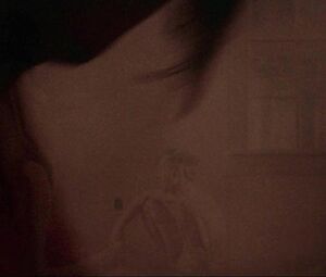 Sex video Barbara Hershey - Boxcar Bertha (1972)