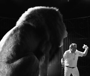 Sex video Anna Friel, Tamsin Egerton nude - The Look of Love (2013)