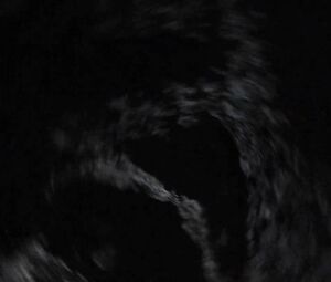 Sex video Elena Anaya, Diana Suarez nude - Sex and Lucia (2001)