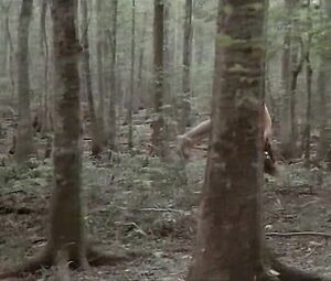 Sex video Nude sex scene - The Click (1985)
