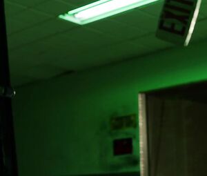 Sex video Ashlynn Yennie and Katie Cassidy - The Scribbler (2014)