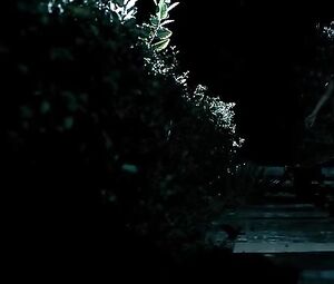 Sex video Jaclyn Swedberg, Lauren Francesca, Audra Van Hees naked actress - Muck