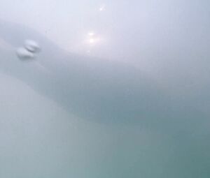 Sex video Kate Winslet nude - Iris (2001)