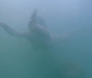 Sex video Kate Winslet nude - Iris (2001)