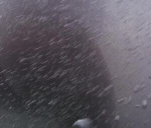 Sex video Kate Winslet nude - Iris (2001)