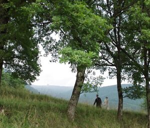 Sex video Diane Rouxel, Nathalie Tetrel nude - Fou DโAmour (2015)