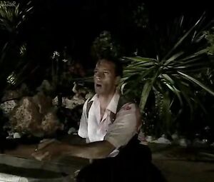 Sex video Rosa Caracciolo - The Bodyguard (1994)