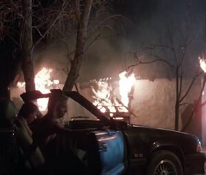 Sex video Kelly Lynch - Warm Summer Rain (1989)