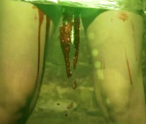 Dani Thompson Naked - Cute Little Buggers (2017)