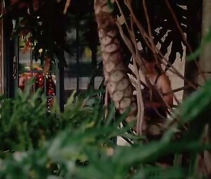 Sarah Laine naked, Nikki Griffin naked, Sandra McCoy naked, Dina Mayer hot โ Wild Things- Diamonds in the Rough (2005)