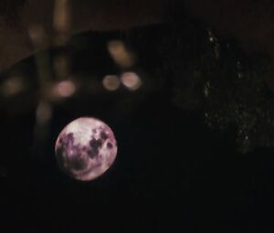 Genesis Rodriguez hot โ Casa de mi Padre (2012)