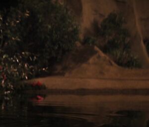 Genesis Rodriguez hot โ Casa de mi Padre (2012)