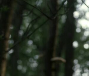 Frances O’Connor naked – Madame Bovary (2000)